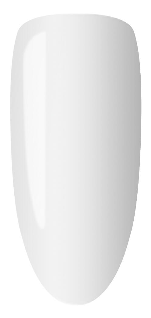 Lechat Dare To Wear Nail Lacquer 15ml - NBNL021 Martini Frost