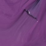 OPI Nail Lacquer – Don’t Toot My Flute ( P34)