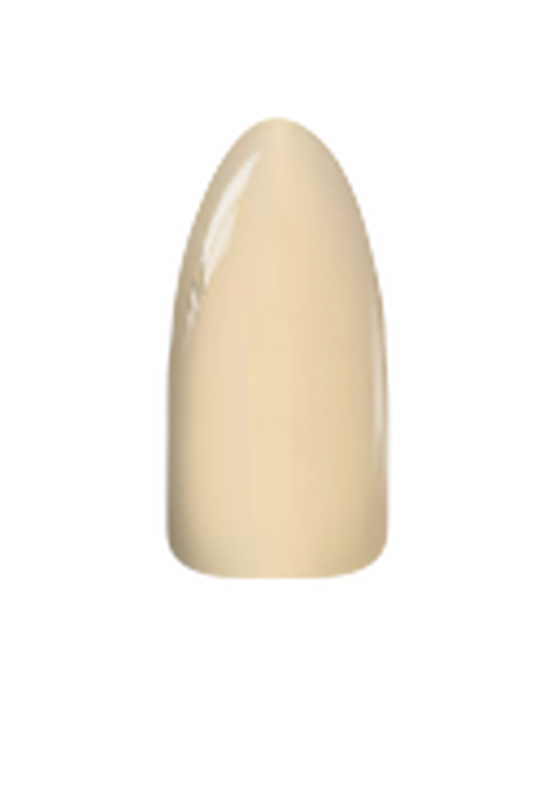 Chisel Acrylic & Dip Powder - Solid 198