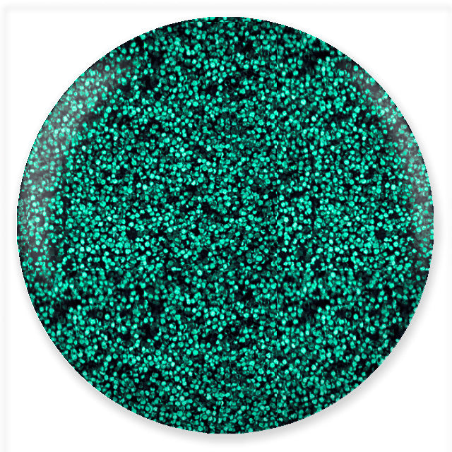 DND Duo Gel Polish-582 Emerald