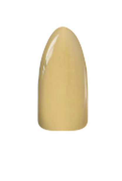 Chisel Acrylic & Dip Powder - Solid 197