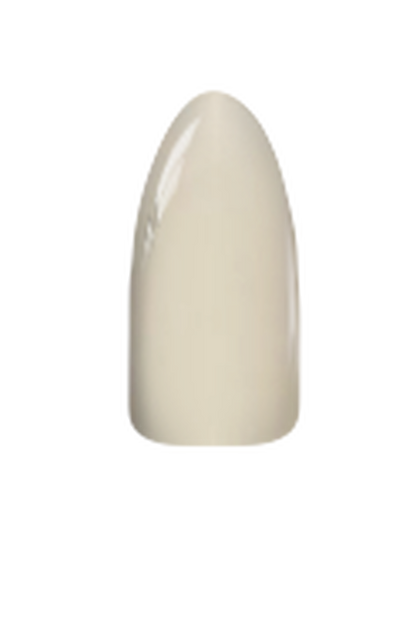 Chisel Acrylic & Dip Powder - Solid 199