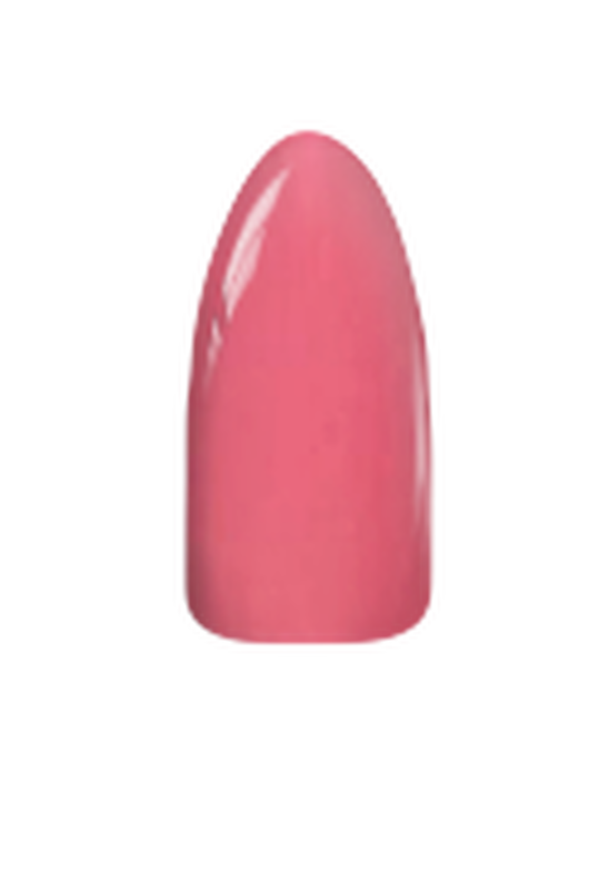 Chisel Acrylic & Dip Powder - Solid 207