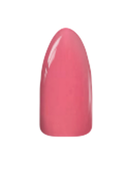 Chisel Acrylic & Dip Powder - Solid 207